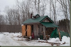 13 StillSeeking Farm 03-29-14N Maple-23