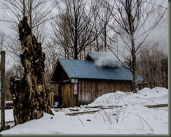 21 Booty Family Farm 03-28-15P -55