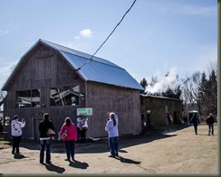 Giles 03-27-16P maple-1