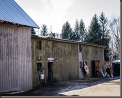 Giles 03-27-16P maple-5