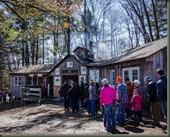 Merrifield 03-26-16P Maple-9-2