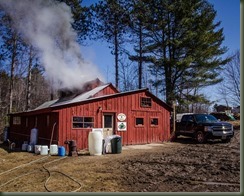 Pingree 03-26-16P Maple -5