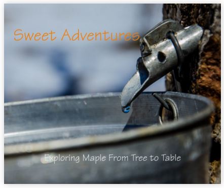 Sweet Adventures Book 3-16