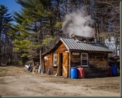 Willette 03-26-16P Maple -12