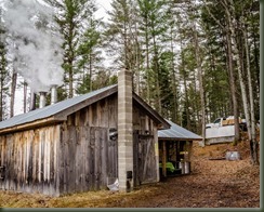 Amadon VT 04-02-16P Maple-17