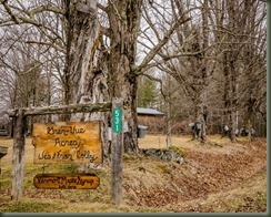 Colby 04-02-16P Maple-4