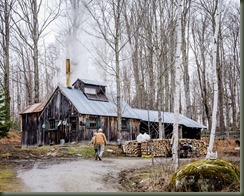 Roch Fair 2016 3rd place group category