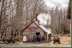 Macie VT 04-02-16P Maple-96