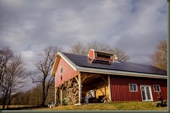 Silloway VT 04-02-16P Maple-1