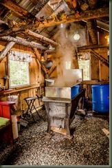 Stockwell 04-02-16P Maple-15