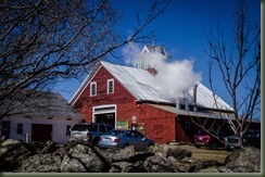 Ridgeland Farm 03-19-16P Maple -11