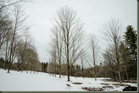 Maple 03-25-17N Mapletree Farm-151