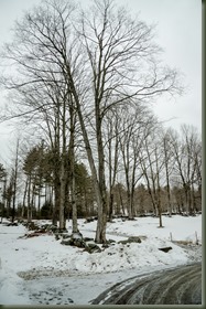 Maple 03-25-17N Mapletree Farm