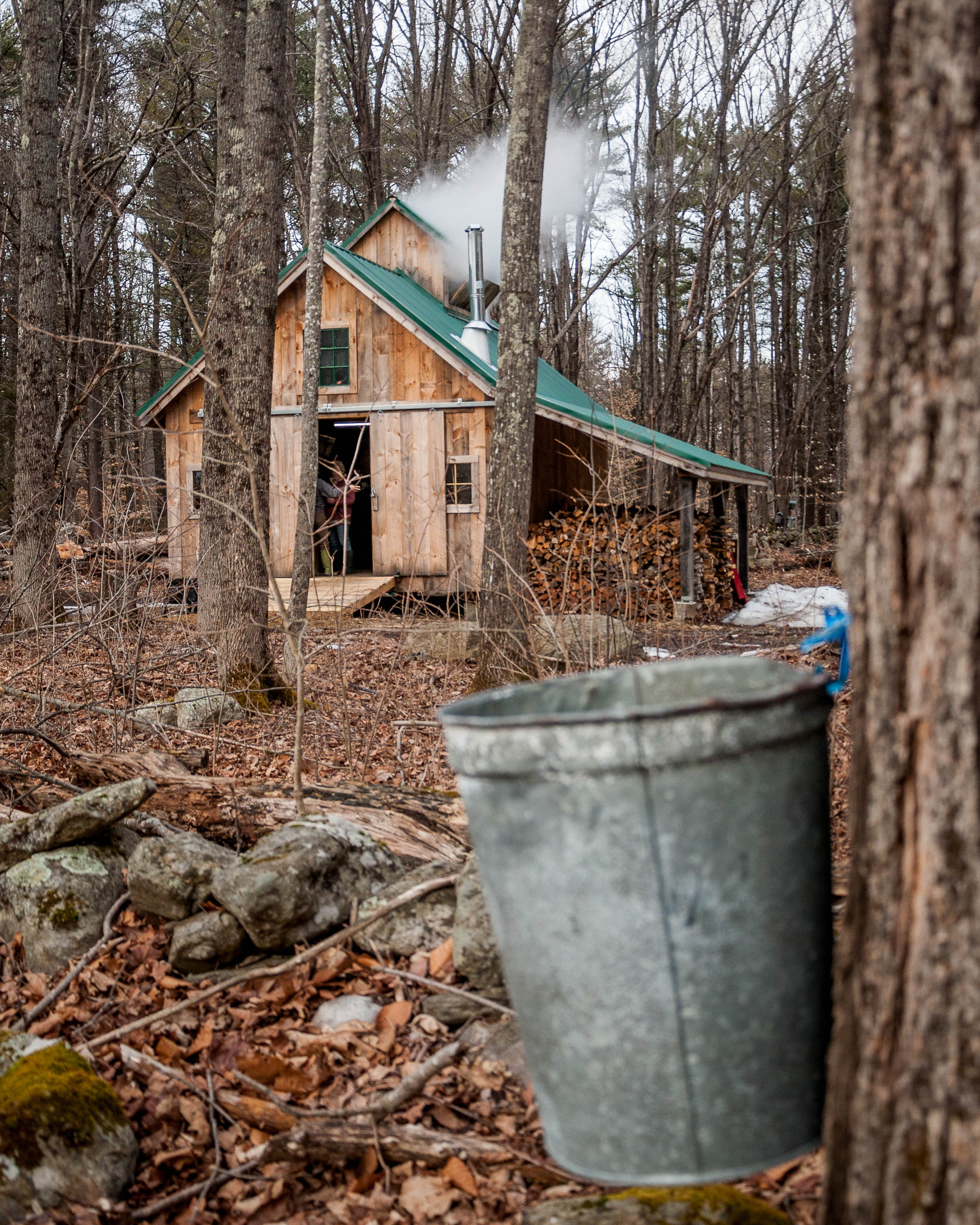 Kate Wilcox Maple 2018-162