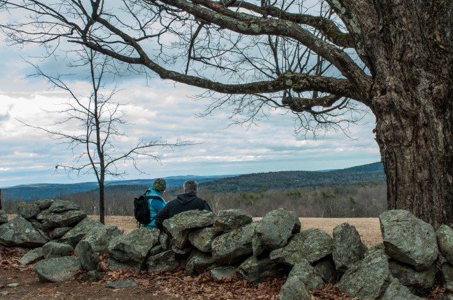 Kate Wilcox Maple 2018-230