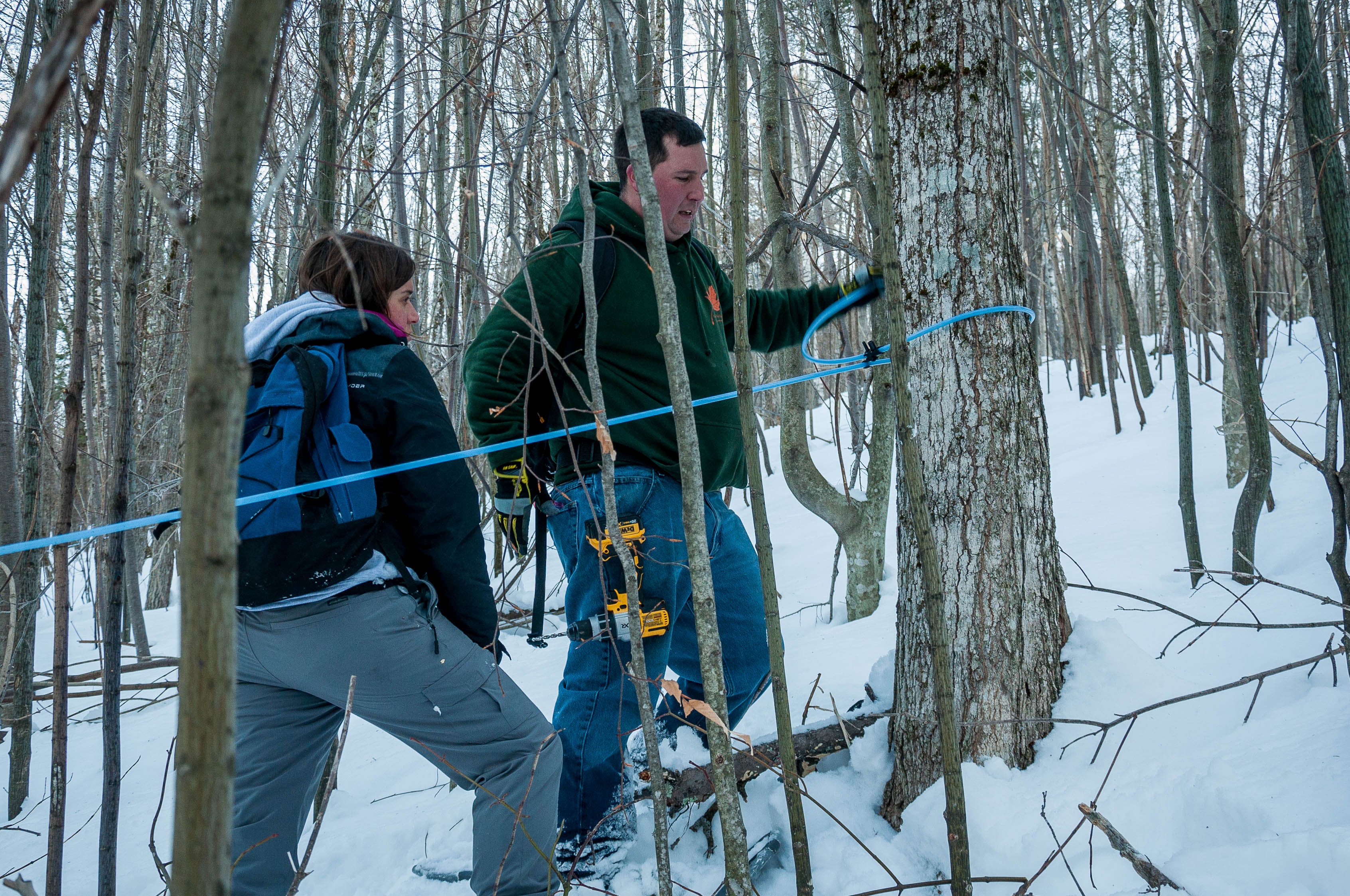 Kate Wilcox Maple 2018-58