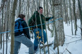 Kate Wilcox Maple 2018-58