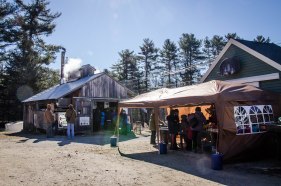 Kate Wilcox Spring Harvest Maple 2016-1