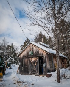 Maple 03-10-18W Atkins-5