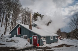 Maple 03-10-18W Clarks-98