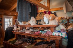 Maple 03-10-18W Crescendo-72