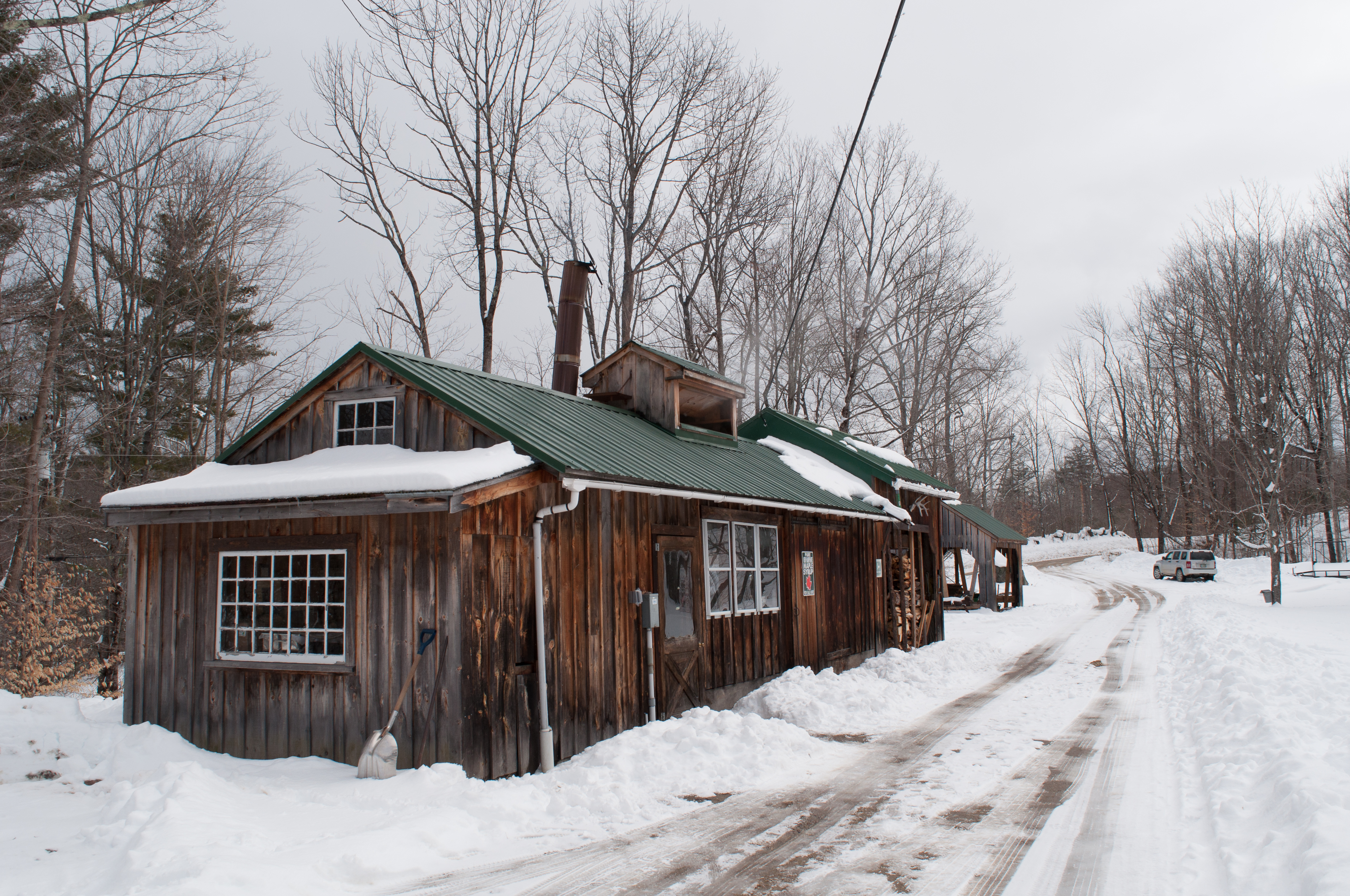 Maple 03-10-18W Hunts-77